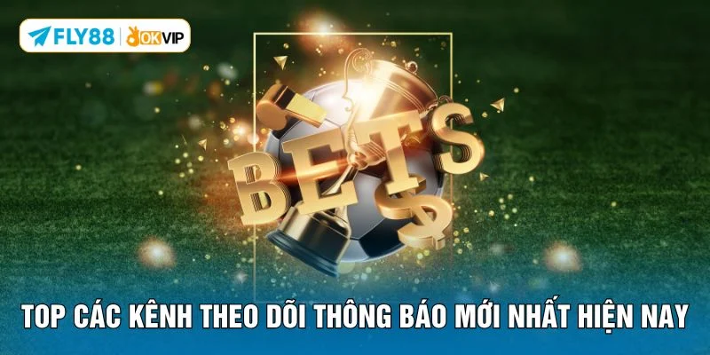 Top các kênh theo dõi thông báo mới nhất hiện nay